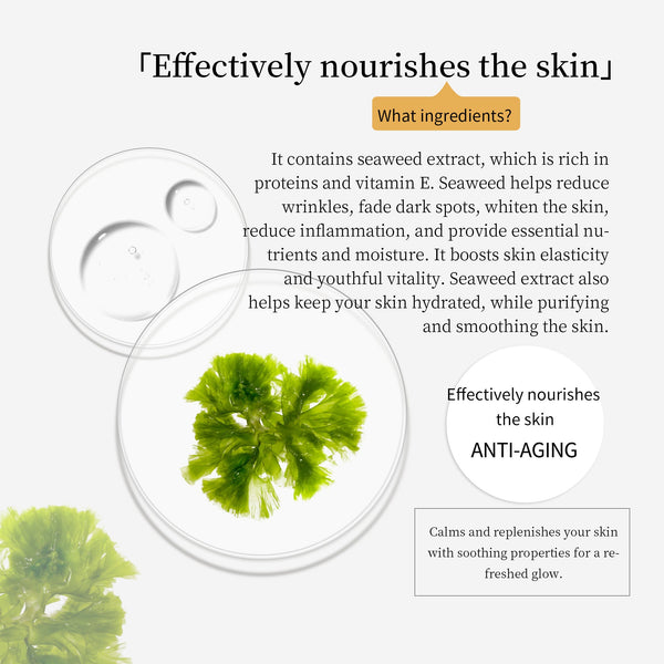 MITOMO Natural 512 Seaweed Facial Essence Mask[MTSS00512-C-5Jx003]
